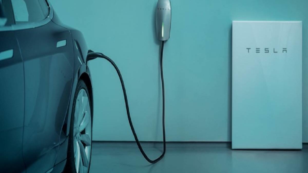 Tesla Battery Cost – Vehicle Batteries, Conclusion, and More