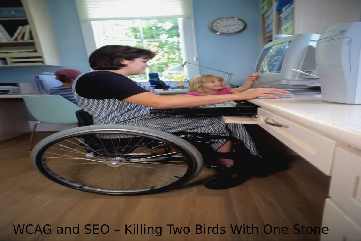 WCAG and SEO – Killing Two Birds With One Stone
