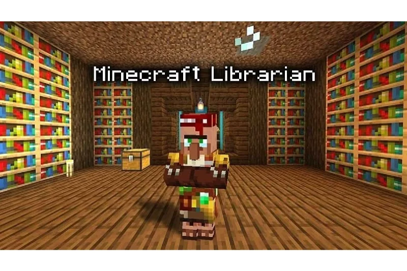 Minecraft Library and Differences Between Libraries