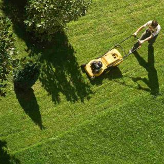 Facebook promotion ideas for the launch of your lawn care equipment