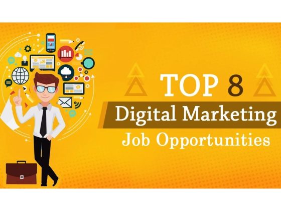 Top 8 Highest-Paying Digital Marketing Jobs for Freshers